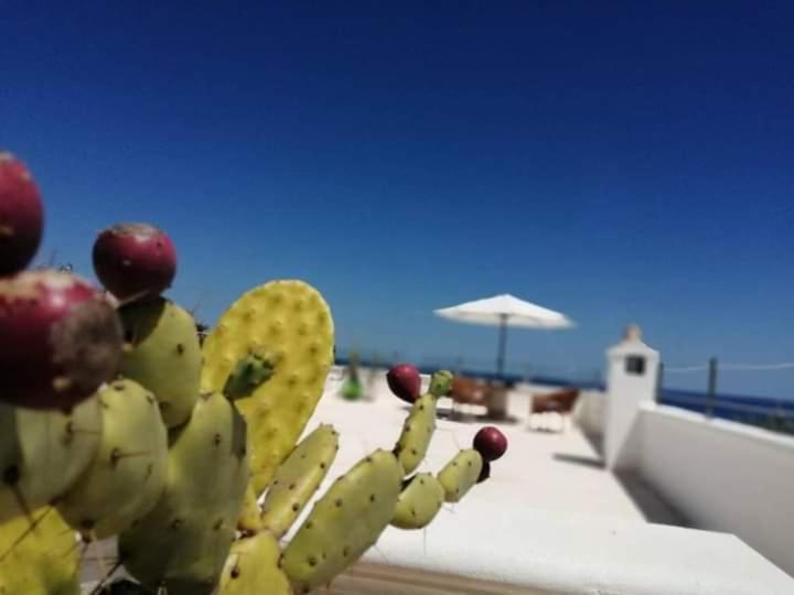 Villa Marina Marittima Exterior foto